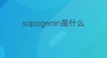 sapogenin是什么意思 sapogenin的中文翻译、读音、例句