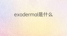 exodermal是什么意思 exodermal的中文翻译、读音、例句