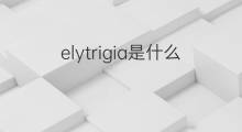 elytrigia是什么意思 elytrigia的中文翻译、读音、例句