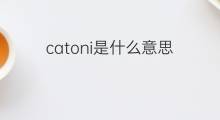 catoni是什么意思 catoni的中文翻译、读音、例句
