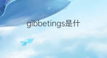gibbetings是什么意思 gibbetings的中文翻译、读音、例句