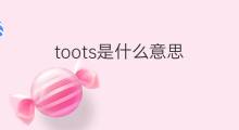 toots是什么意思 toots的中文翻译、读音、例句