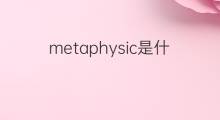 metaphysic是什么意思 metaphysic的中文翻译、读音、例句