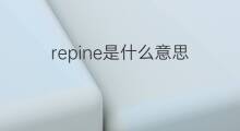 repine是什么意思 repine的中文翻译、读音、例句