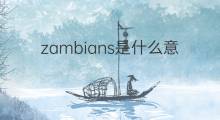 zambians是什么意思 zambians的中文翻译、读音、例句