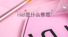 niel是什么意思 英文名niel的翻译、发音、来源