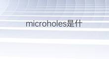 microholes是什么意思 microholes的中文翻译、读音、例句