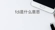 fdi是什么意思 fdi的中文翻译、读音、例句