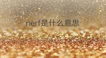 nerf是什么意思 nerf的中文翻译、读音、例句