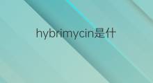 hybrimycin是什么意思 hybrimycin的中文翻译、读音、例句
