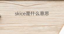 skice是什么意思 skice的中文翻译、读音、例句