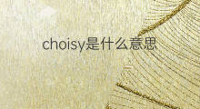 choisy是什么意思 choisy的中文翻译、读音、例句