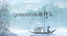 gustsonde是什么意思 gustsonde的中文翻译、读音、例句