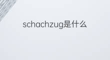 schachzug是什么意思 schachzug的中文翻译、读音、例句