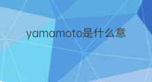 yamamoto是什么意思 yamamoto的中文翻译、读音、例句