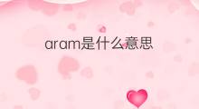 aram是什么意思 aram的中文翻译、读音、例句