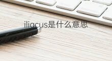 iliacus是什么意思 iliacus的中文翻译、读音、例句