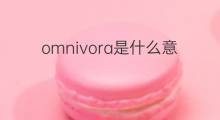 omnivora是什么意思 omnivora的中文翻译、读音、例句