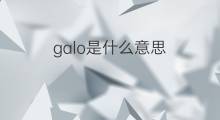 galo是什么意思 galo的中文翻译、读音、例句