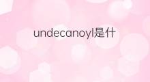 undecanoyl是什么意思 undecanoyl的中文翻译、读音、例句