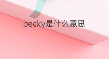 pecky是什么意思 pecky的中文翻译、读音、例句
