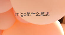 miga是什么意思 miga的中文翻译、读音、例句