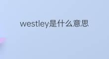 westley是什么意思 westley的中文翻译、读音、例句