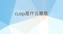 cusp是什么意思 cusp的中文翻译、读音、例句