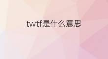 twtf是什么意思 twtf的中文翻译、读音、例句