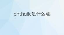 phthalic是什么意思 phthalic的中文翻译、读音、例句