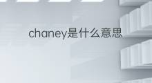 chaney是什么意思 chaney的中文翻译、读音、例句