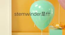 stemwinder是什么意思 stemwinder的中文翻译、读音、例句