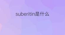 suberitin是什么意思 suberitin的中文翻译、读音、例句