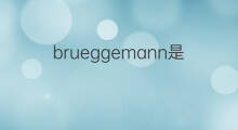 brueggemann是什么意思 brueggemann的中文翻译、读音、例句