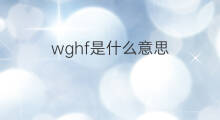 wghf是什么意思 wghf的中文翻译、读音、例句