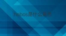 hobos是什么意思 hobos的中文翻译、读音、例句