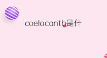 coelacanth是什么意思 coelacanth的中文翻译、读音、例句