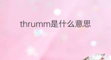 thrumm是什么意思 thrumm的中文翻译、读音、例句