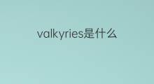 valkyries是什么意思 valkyries的中文翻译、读音、例句