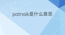 patnaik是什么意思 patnaik的中文翻译、读音、例句