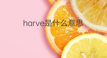 harve是什么意思 英文名harve的翻译、发音、来源