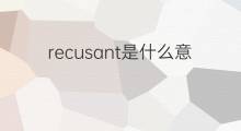 recusant是什么意思 recusant的中文翻译、读音、例句