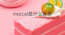 marcel是什么意思 marcel的中文翻译、读音、例句