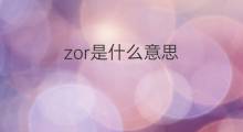 zor是什么意思 zor的中文翻译、读音、例句
