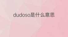 dudoso是什么意思 dudoso的中文翻译、读音、例句