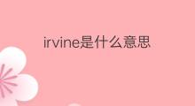 irvine是什么意思 irvine的中文翻译、读音、例句