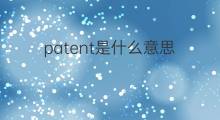 patent是什么意思 patent的中文翻译、读音、例句