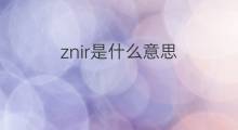 znir是什么意思 znir的中文翻译、读音、例句