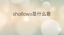 shallows是什么意思 shallows的中文翻译、读音、例句
