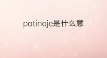 patinaje是什么意思 patinaje的中文翻译、读音、例句